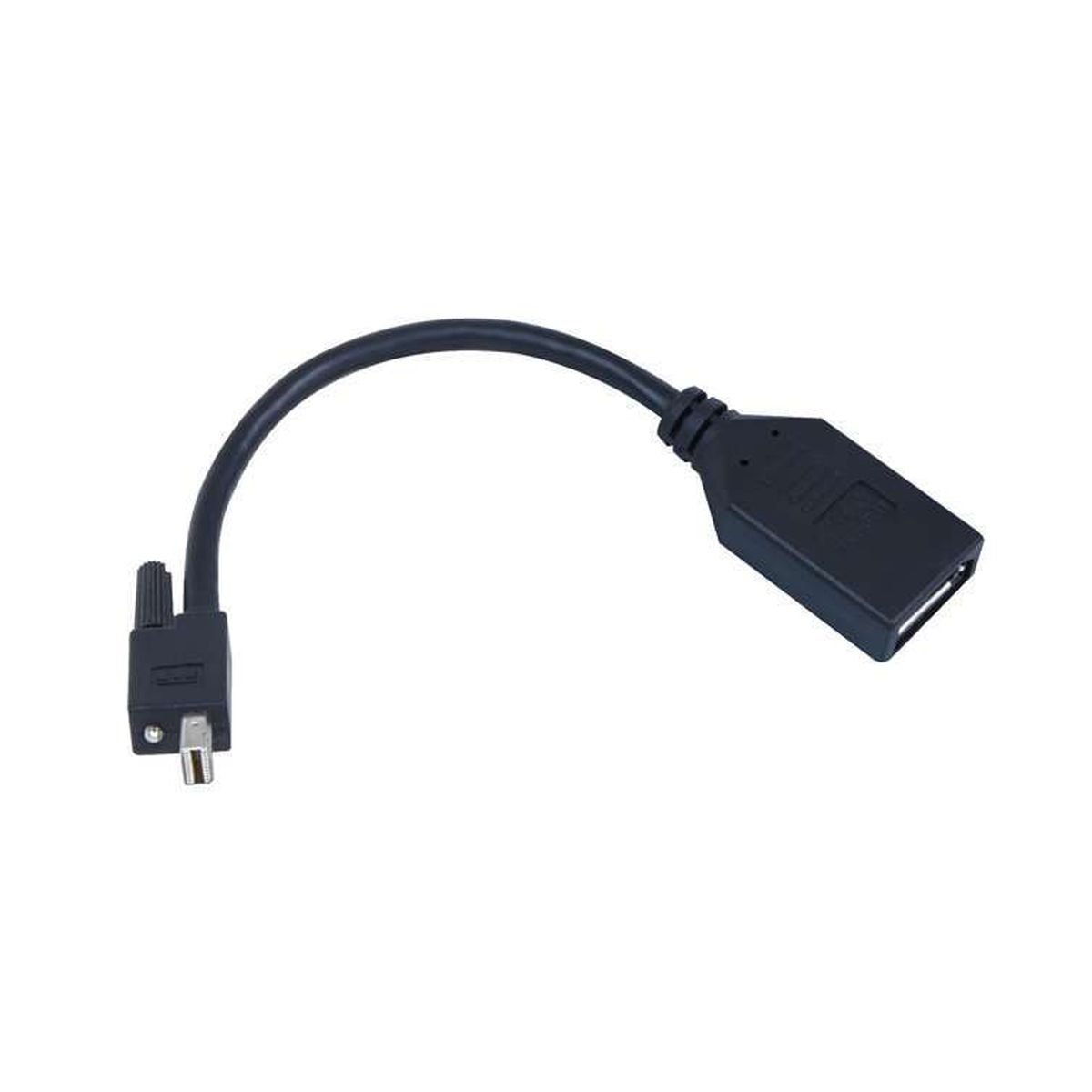 Amazon | Matrox TripleHead2Go DP Edition | Matrox | グラフィック